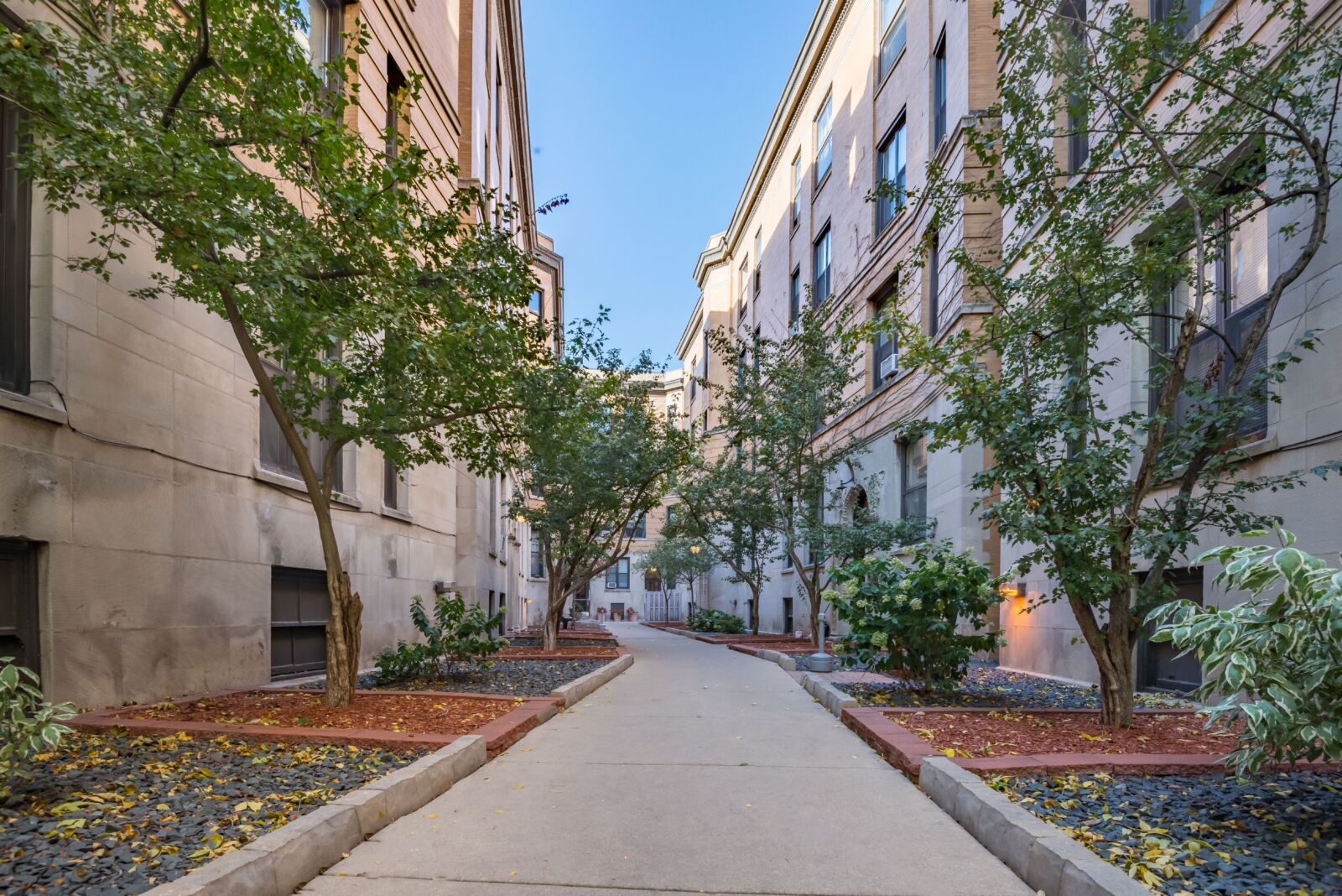Interior courtyard walkway at 428–38 W Belden Avenue in Lincoln Park, lined with landscaped garde...