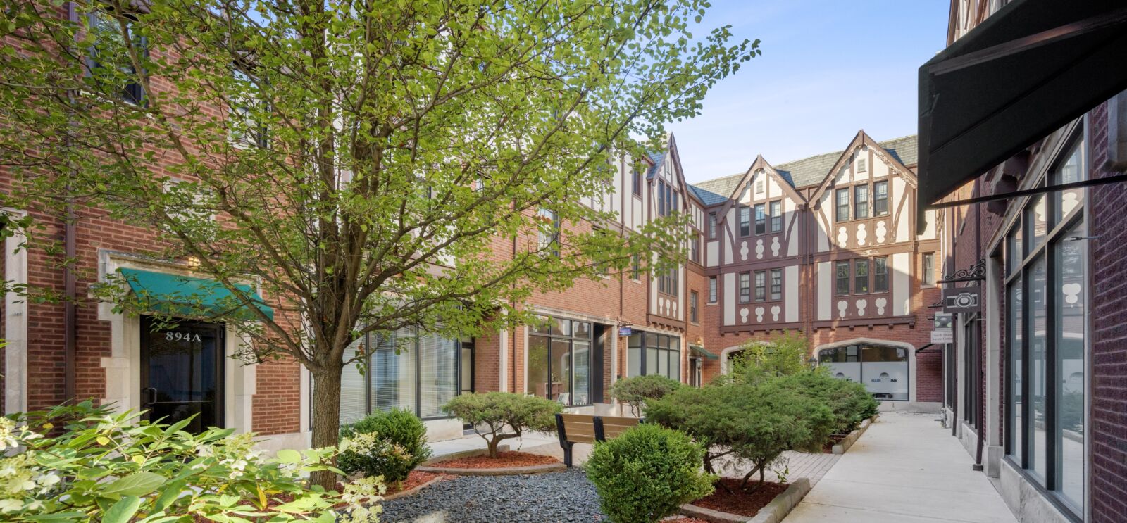 Courtyard with mature tree and manicured shrubs between Tudor-style brick buildings.